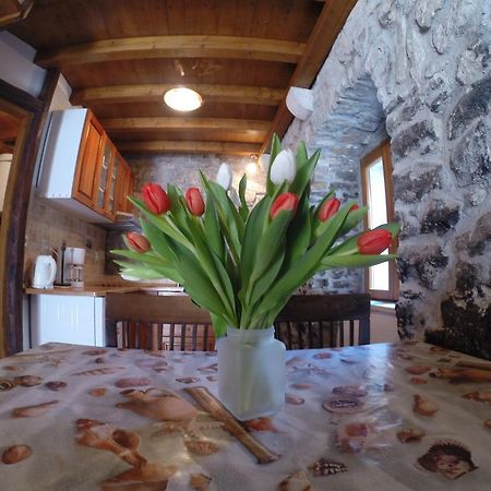 Dalmatian Villas Сплит Екстериор снимка